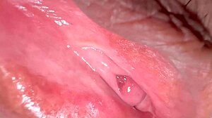 Amateur Wife's Shaved Pussy 336 Days Post-Virginity Loss