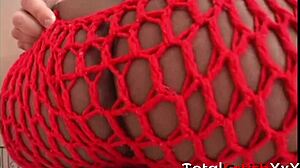 Kookie's Thick Thighs and Juicy Bubble Butt Bounce on Huge Cock