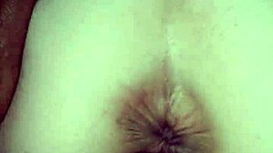 black bull's bunny rayveness huge tits homemade blowjob!