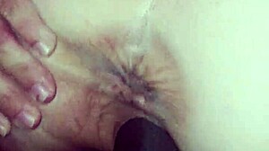 black bull's bunny rayveness huge tits homemade blowjob!