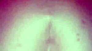 black bull's bunny rayveness huge tits homemade blowjob!