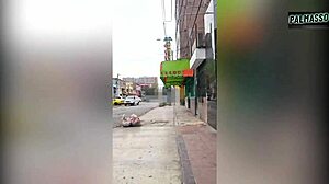 Chubby Latina newbie flashes her huge tits for a job then we hit the hotel for raw sex