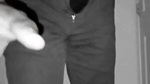 Hulk llamasr sparks wild wrestling nicknames!