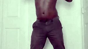 Hulk llamasr sparks wild wrestling nicknames!