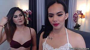 i fuck my cute shemale girlfriend on cam