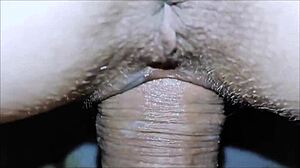 My wife and I swing with group anal assfucking close up