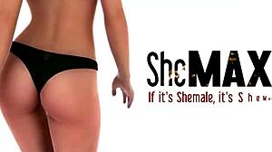 Gorgeous Trannies Bare Butts for CUM-SOAKED Foursome Gangbang Orgy Madness!