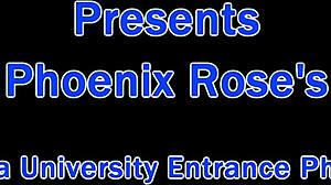 Phoenix Rose Tampa University Entrance Physical Exam