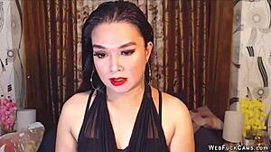 cute brunette babe teases on live webcam chat