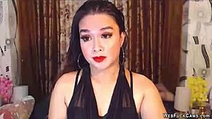 cute brunette babe teases on live webcam chat