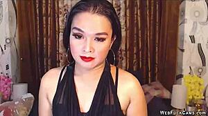 cute brunette babe teases on live webcam chat