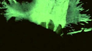 Vintage Erotic Drawings Captivate Retro Fans