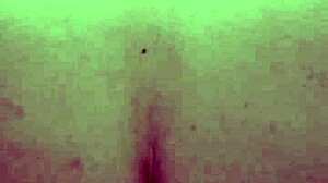 bbw latina rides reverse cowgirl jerks cock amateur homemade