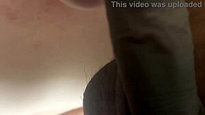 milf stuck bathroom daddy gone big tits anal creampie