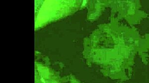 Vintage Erotic Drawings Captivate Retro Fans