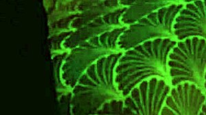 evil fisherman captures pink blue blonde mermaid chokes throats her small tits cosplay