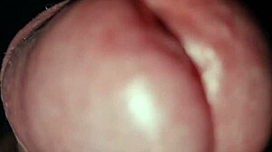 ansima orgasmo gemiti sega anale masturbazione cazzo grosso italiano pov sporco
