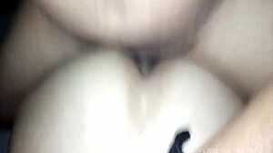 carnaval chubby latina wife anal bareback first time husband never did screams pleasure