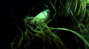 cum back stockton head master mstrymn36 more videos