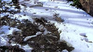 milf pisses dirty shaved pussy behind garages public outdoor fetish?