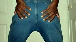 Fun Song Lyrics Reimagined Freely