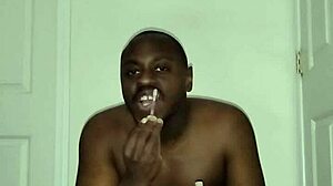 Fun Song Lyrics Reimagined Freely