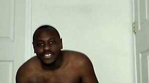 Fun Song Lyrics Reimagined Freely