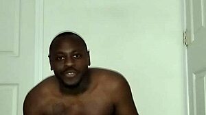 Fun Song Lyrics Reimagined Freely