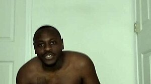 Fun Song Lyrics Reimagined Freely