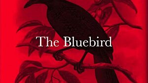 Dragonfly Freddie's Wild Vintage Orgy Unleashed!