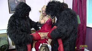 Blonde Milf Rabbit Thief Disciplined by Monkey-Outfit Group Doggystyle Poundings