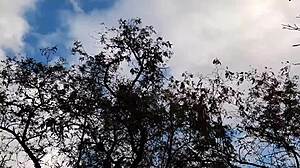 forester girl and i fuck wild in hut 🌲👩‍❤️‍💋‍👩💋