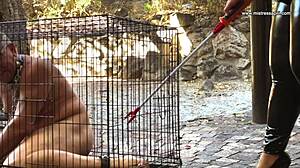 mistress april owns ms kittens cock in clinic