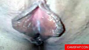Blowjob then anal webcam amateurs!