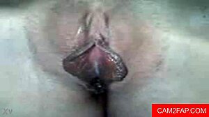 Blowjob then anal webcam amateurs!