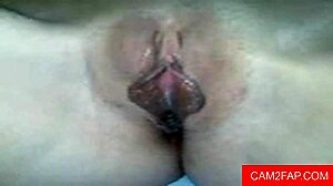 Blowjob then anal webcam amateurs!