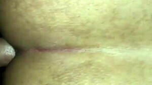 wanna see me fuck my trans girl again?