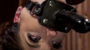 damn, that tied-up alt lesbian gets her ass whipped raw in kinky bondage