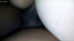 big black cock wrecks milan white bitch's big ass!