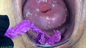 Mature Milf's Uterus Exposed in Wild Japanese Endoscope Play!