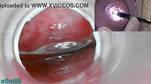 Mature Milf's Uterus Exposed in Wild Japanese Endoscope Play!