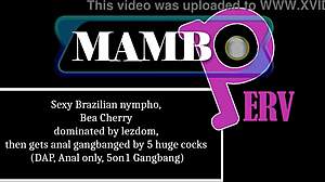 Sexy Brazilian Nympho Bea Cherry Gangbanged Anal by Five Huge Cocks!