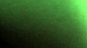 sherytiffany colombian tranny bareback anal doggy style