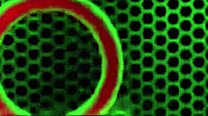 Sophie Dee Shakes Big Phat Ass Posing Lingerie