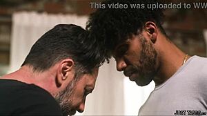 bro your wife cheats fucking my cock hard