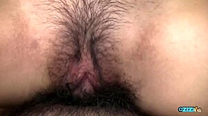 hairy asian snatch fingered hard then drilled by thick vibrator cock