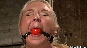 Leya Falcon's huge tits shake as she's toyed hard in hogtie bondage