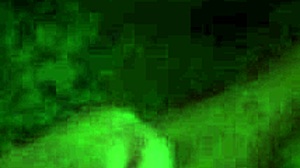 Alice fire delivers cute blowjob then takes monster cock hard in hotel with fake tits.