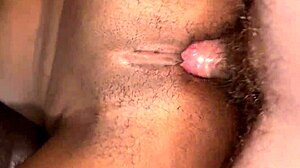 my naughty ebony stepsis kennedy reign with big natural tits loves flashing and creampie play next door.