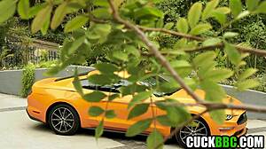 Caged Cuckold Watches Wife's Ass Destroyed by Monster BBC